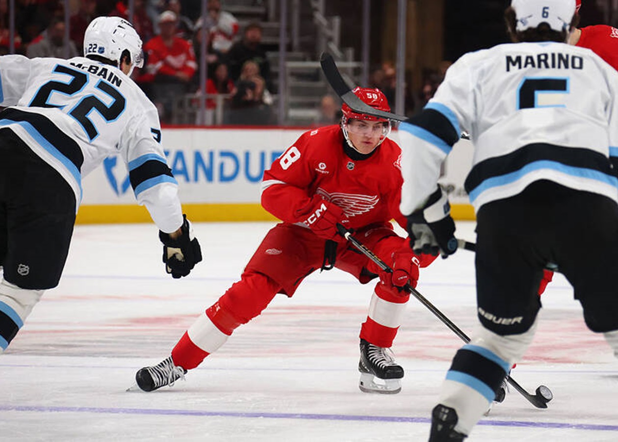 НХЛ: домашня невдача Детройта та поразка Вегаса