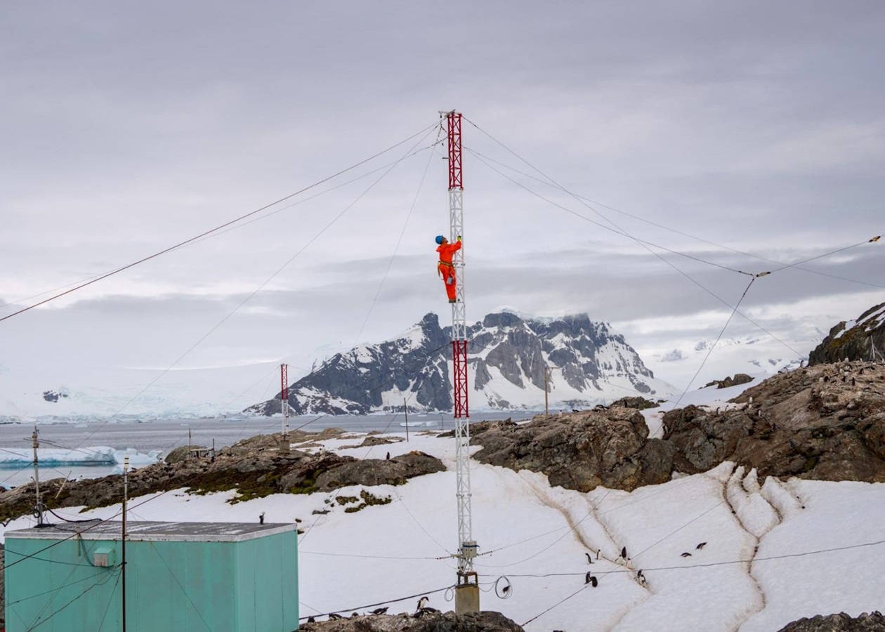 Пінгвіни, птахи і тюлень: українські полярники перемогли у фотоконкурсі