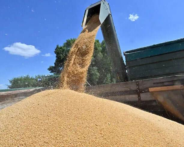 Зупинка портів здорожчала логістику експорту зерна на 50 доларів за тонну, – Мінагрополітики