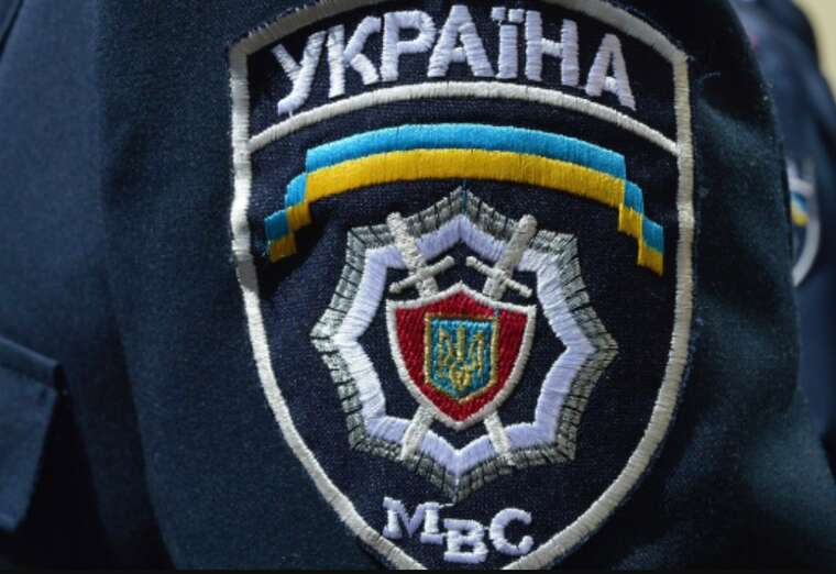 76 тисяч доларів готівкою та 4 гектари землі: що задекларувала родина посадовця МВС Михайлова