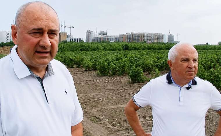 Мільйонні статки дітей при зарплаті батька у 60 тисяч гривень: що знайшли у родині нового президента НААН Ігоря Гриника