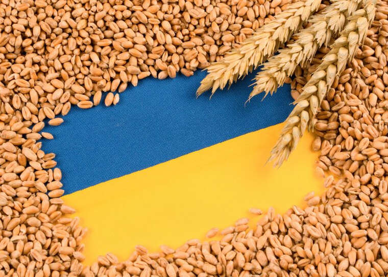 Удари по портах майже паралізували експорт зерна з Росії — ЗМІ